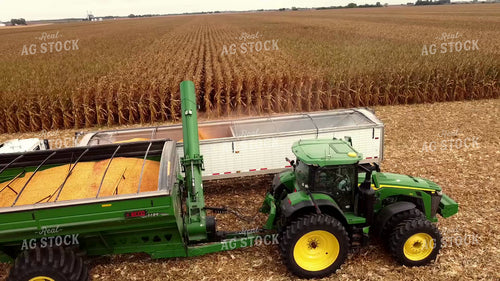 Corn Harvest 287036