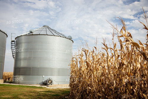 Bins By Dried Corn Field 268173