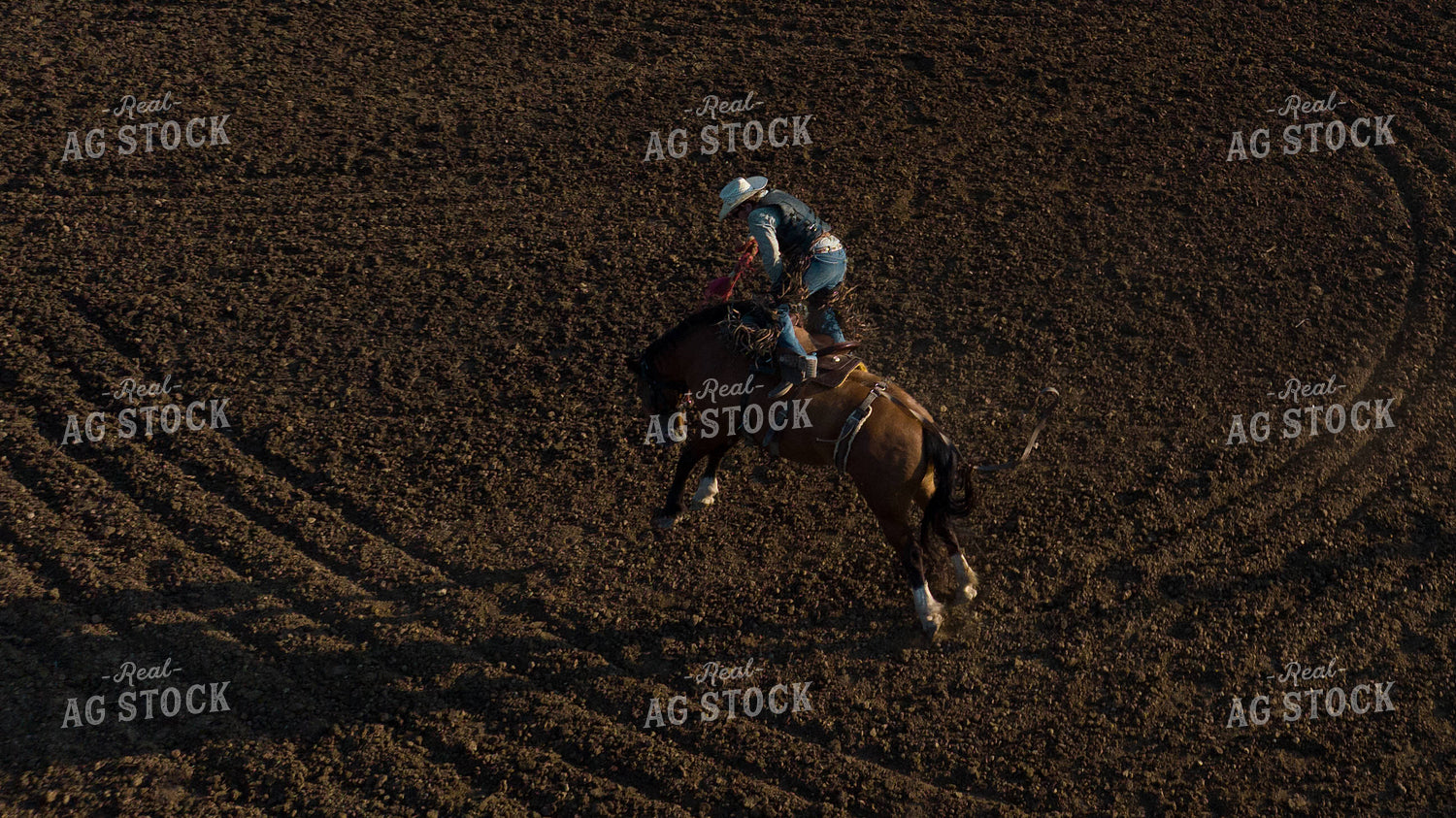 Rodeo 52864