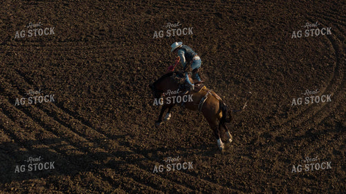 Rodeo 52864