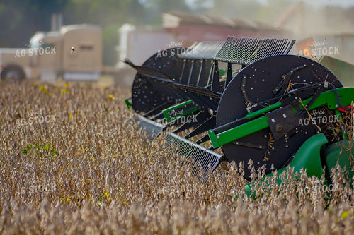 Soybean Harvest 291128
