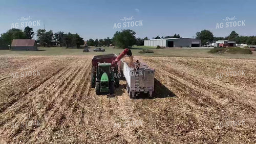 Corn Harvest 239023