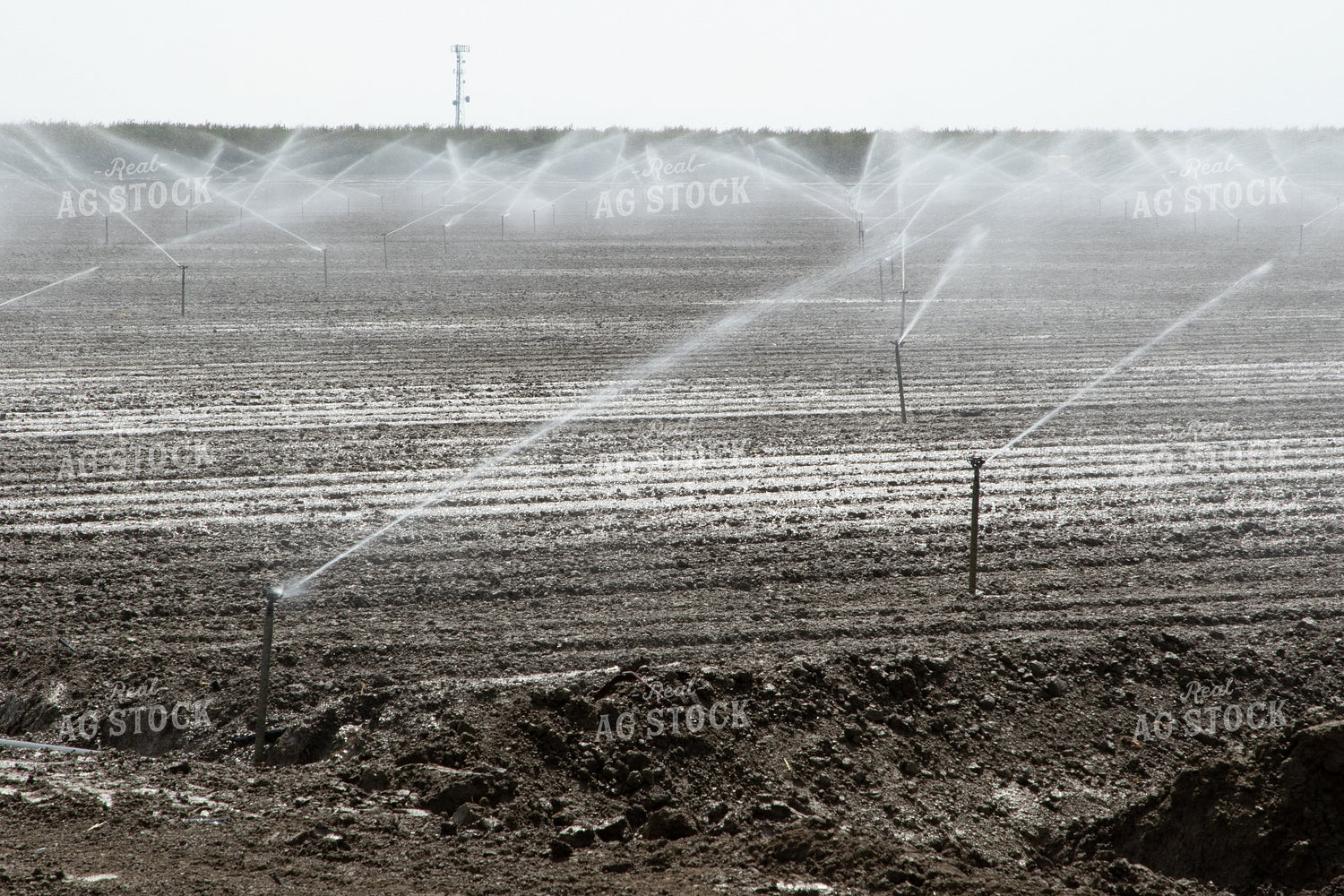Irrigation System in Field 105095