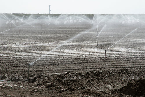 Irrigation System in Field 105095
