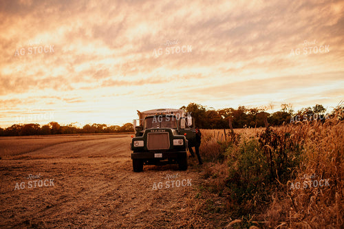 Harvest 2661