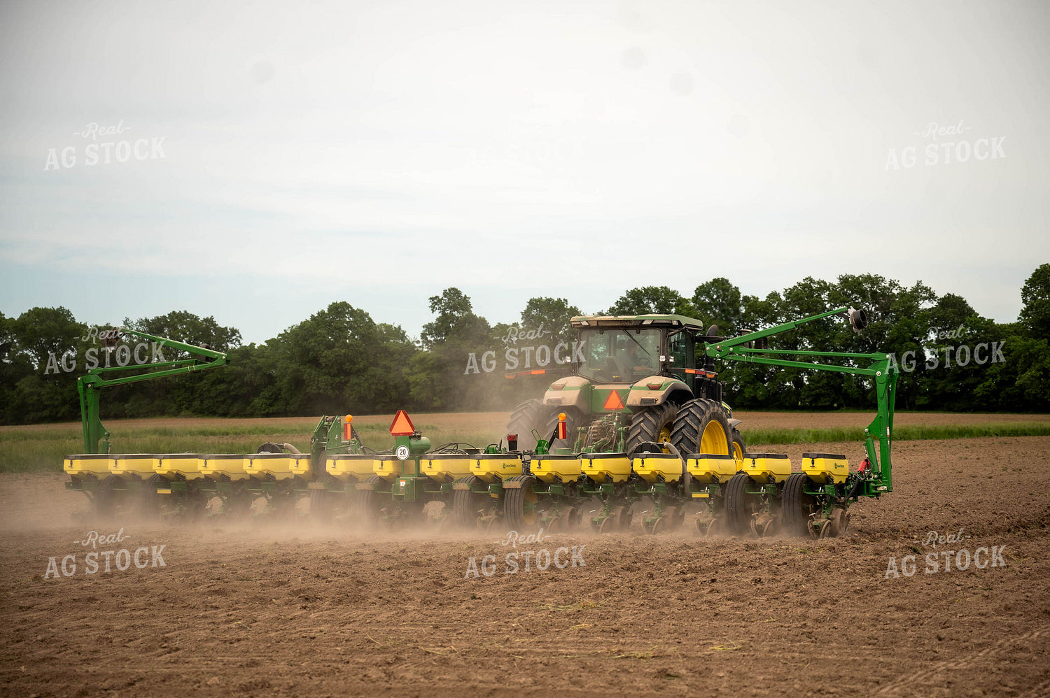 Planting 115669