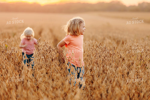 Farm Kids in Dried Soybean Field at Sunset 161189