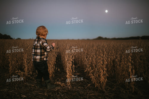 Farm Kid in Soybean Field with Moon at Harvest 5174