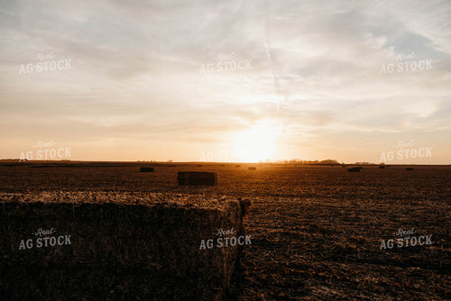Wheat Straw Bales in Sunset 152075