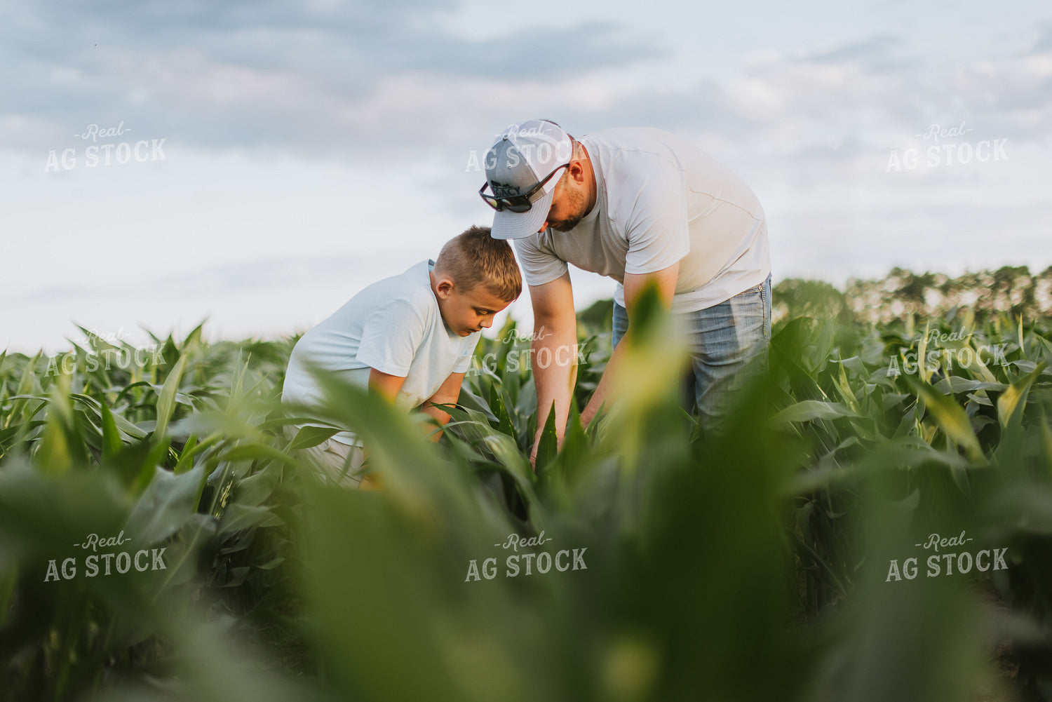 Farmer and Son Checking Corn 8800