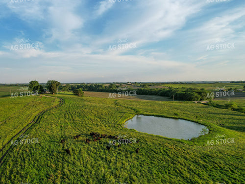 Aerial of Summer Pasture 261054