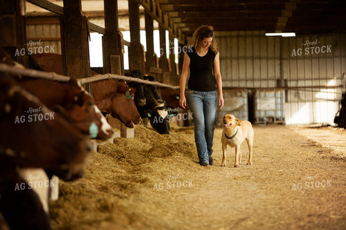Dairy 2731