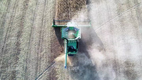 Soybean Harvest 65135