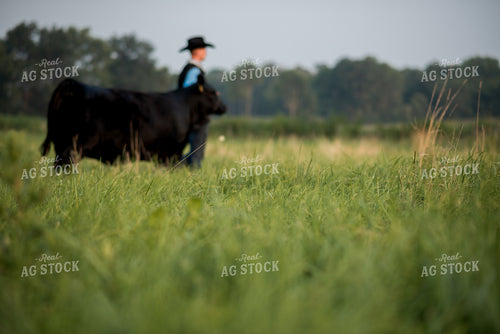 Farm Kid with Show Cow 76739