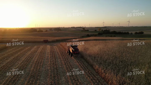 Aerial of Corn Harvest 268049