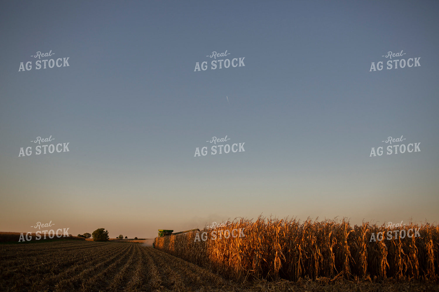 Harvest 2539