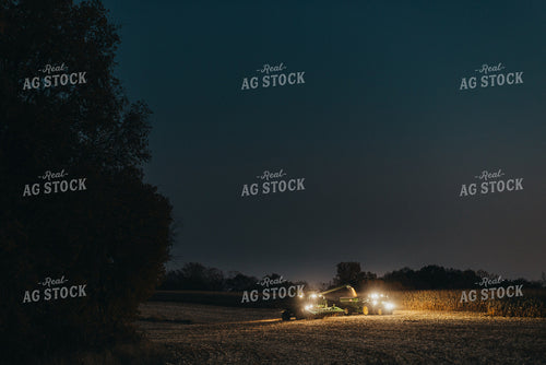 Corn Harvest 9507