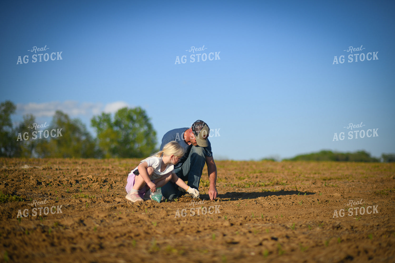 Scouting Emergence with Daughter 191052