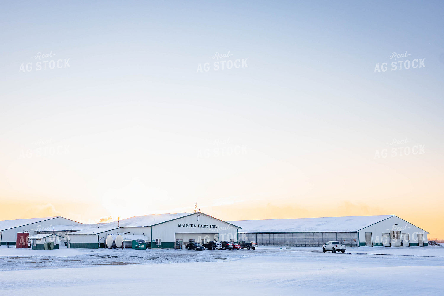 Cattle Barns in Winter 152422