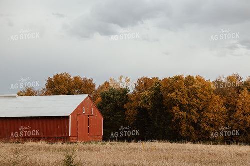 Red Barn in Fall 67821