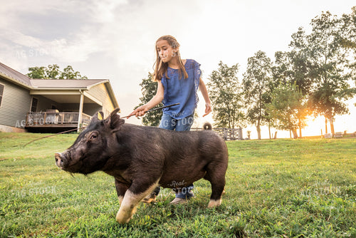 Farm Kid with Show Pig 270208