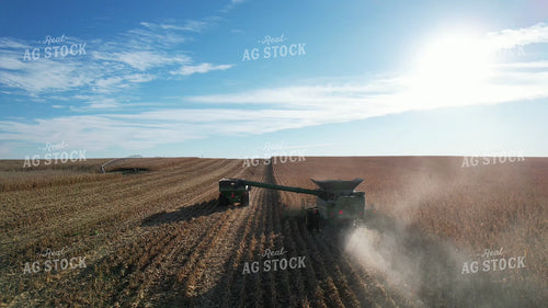 Aerial of Corn Harvest 65560