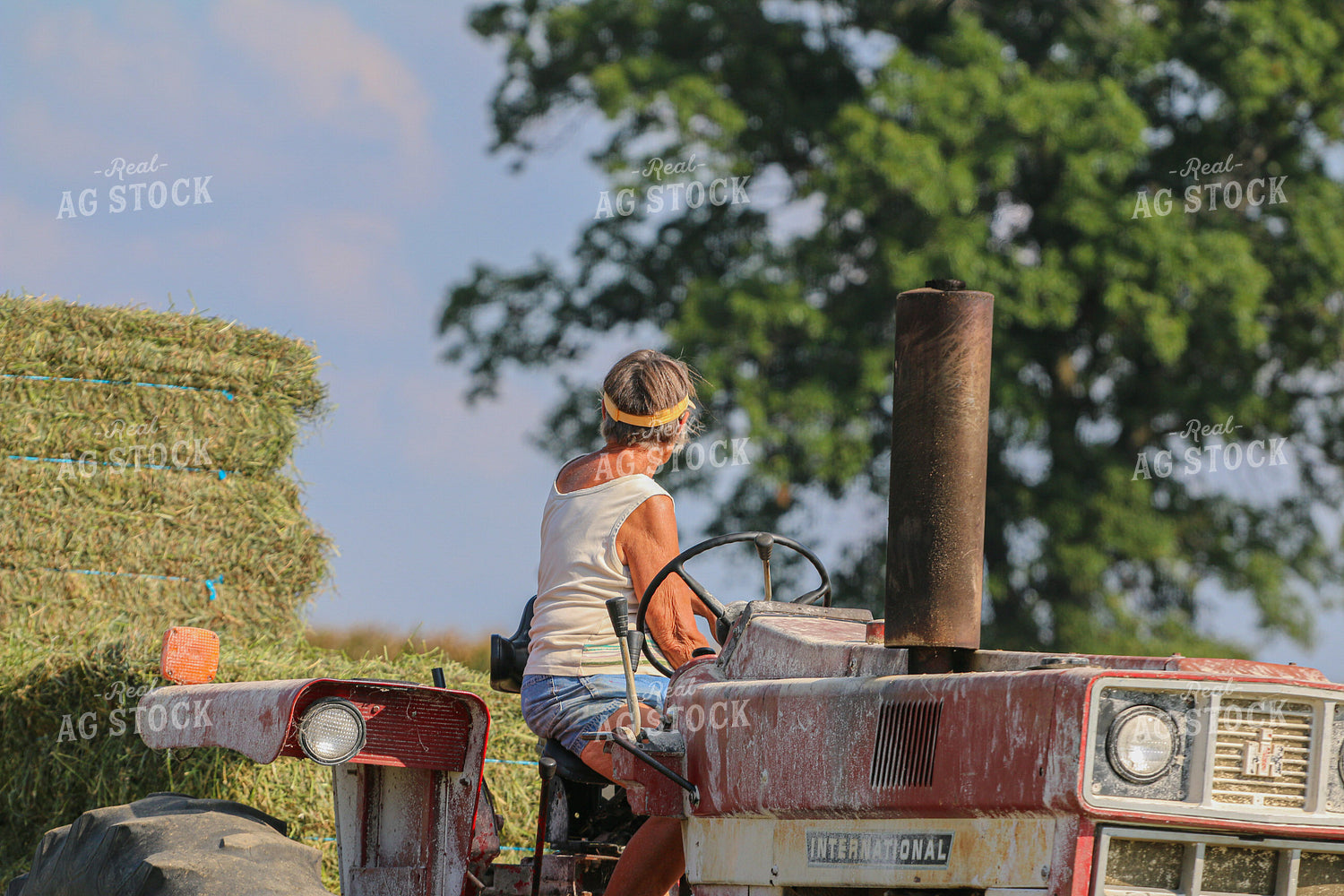 Harvesting Hay 160333