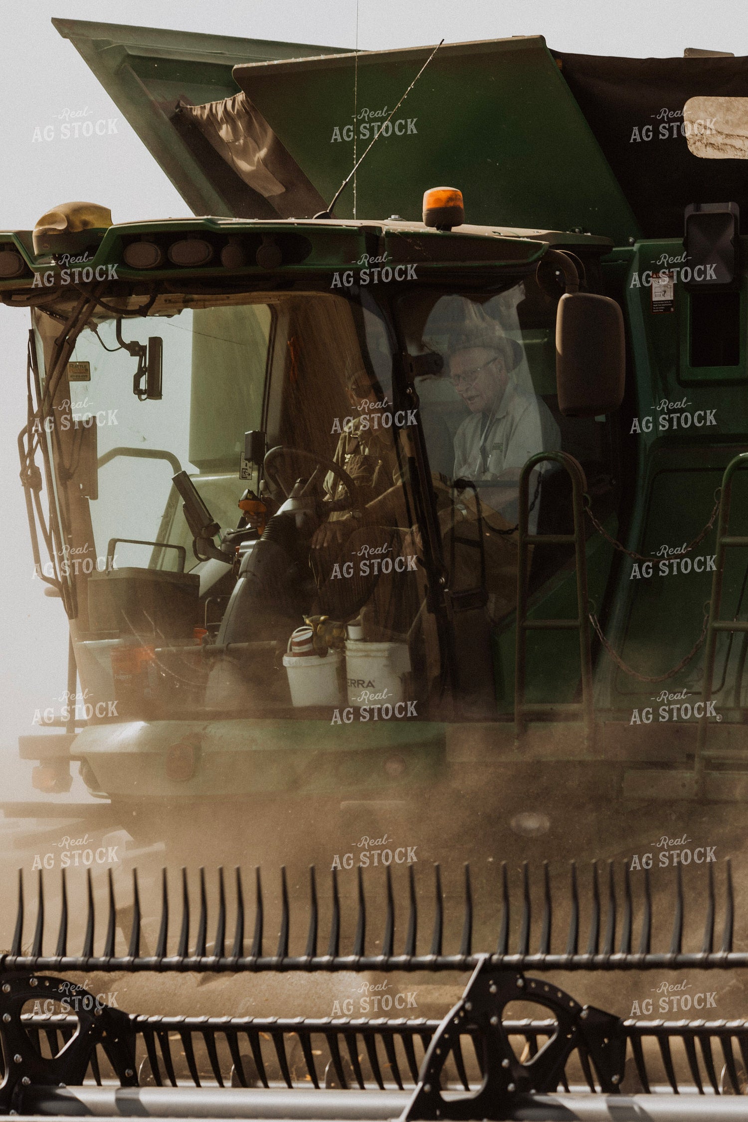 Pea Harvest 187257