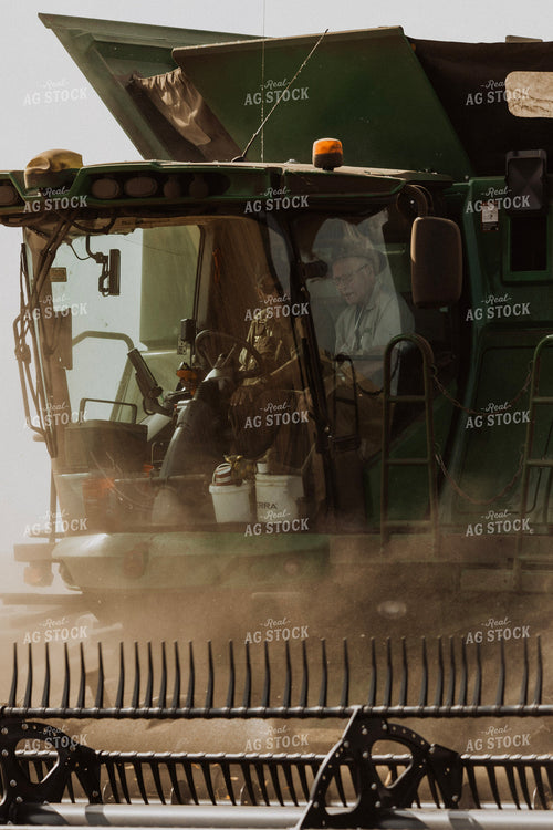 Pea Harvest 187257