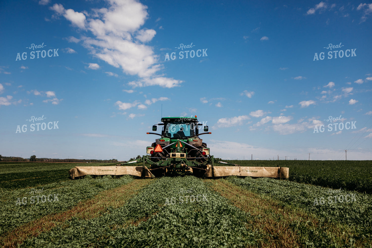 Cutting Hay 152145