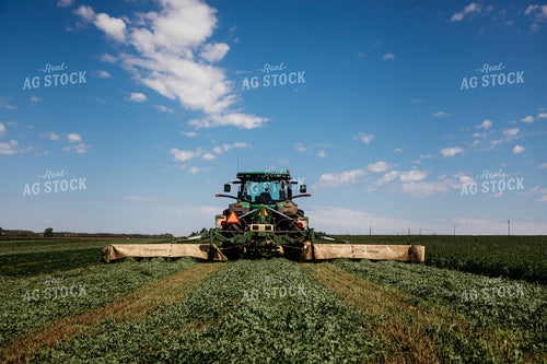 Cutting Hay 152145