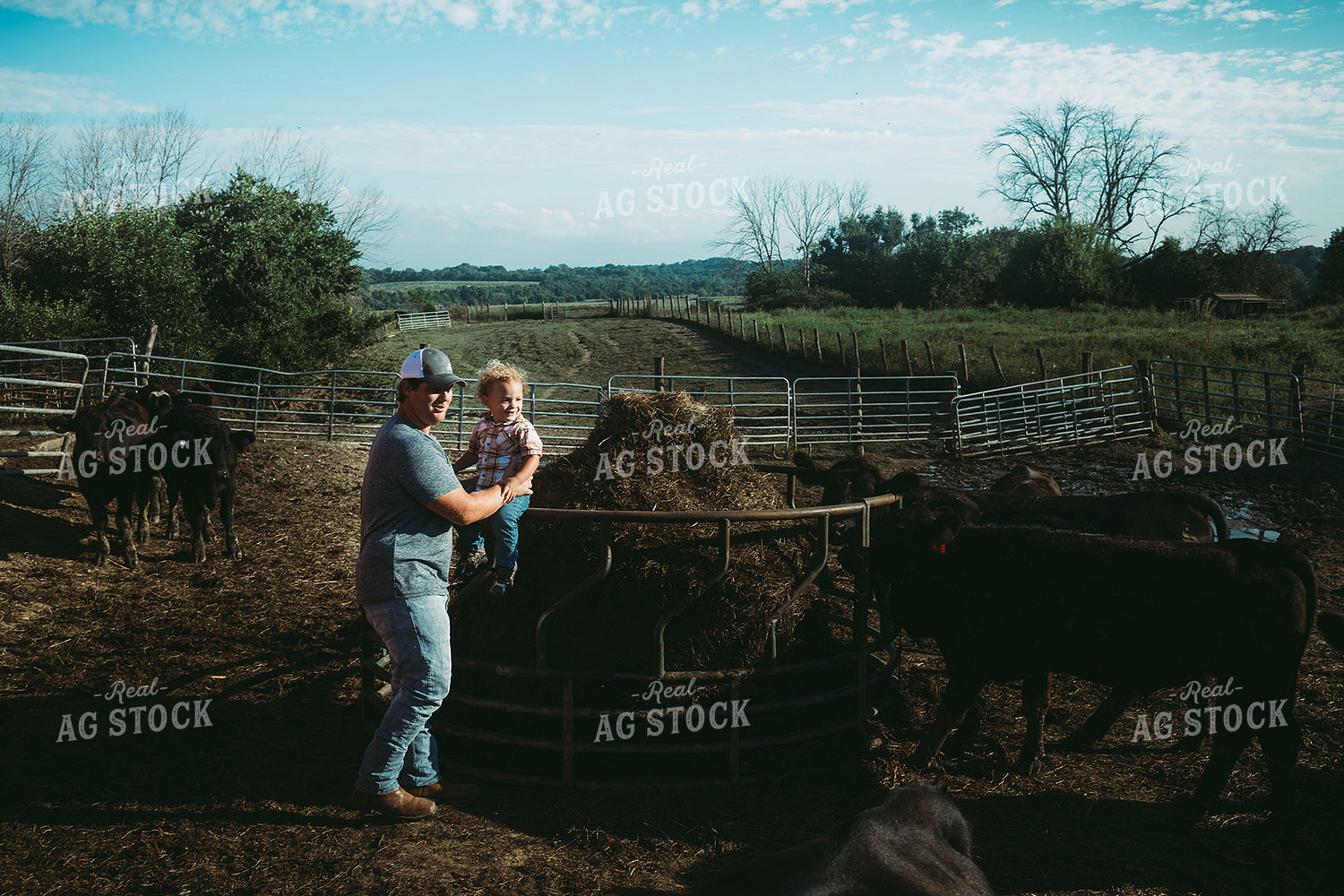 Farm Family Feeding Cows 3145
