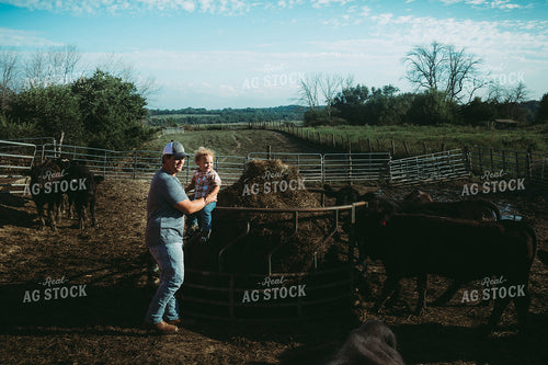Farm Family Feeding Cows 3145