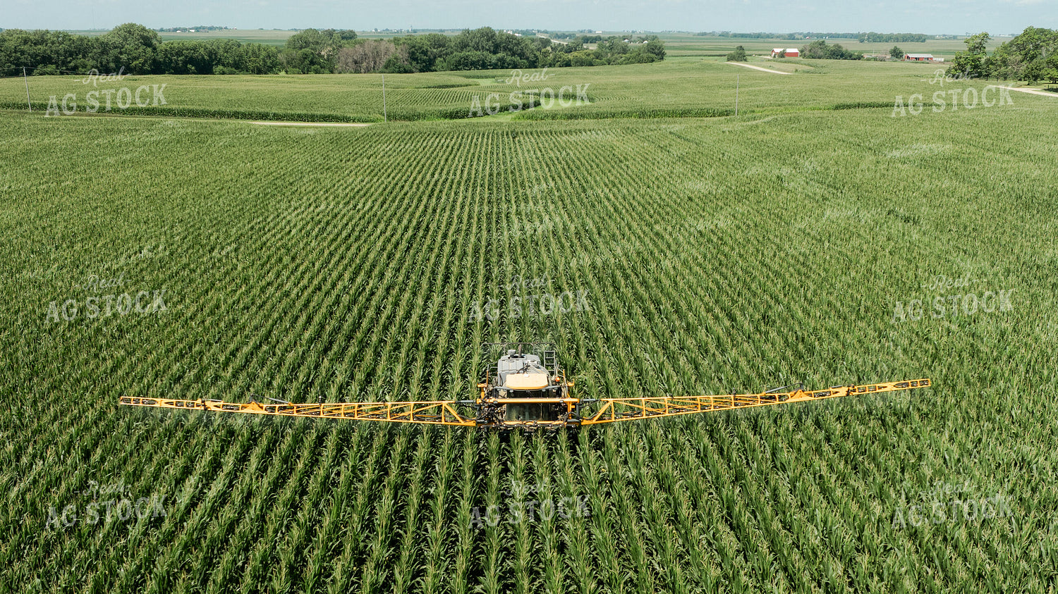 Spraying Corn 274070