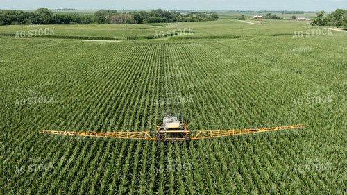 Spraying Corn 274070