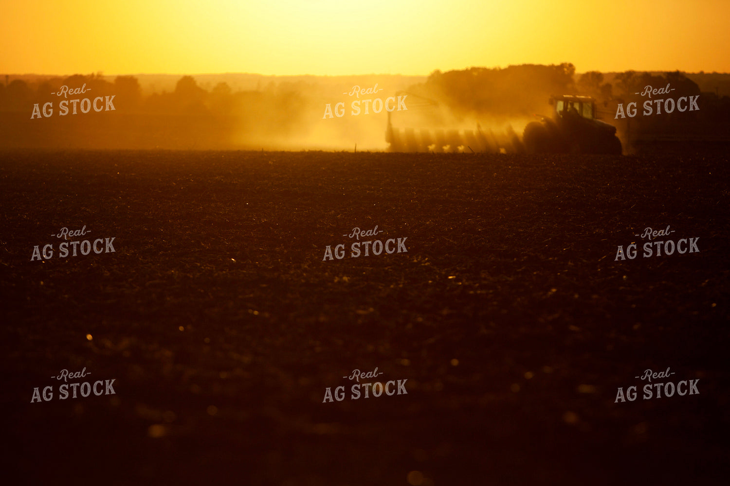 Planting 1973