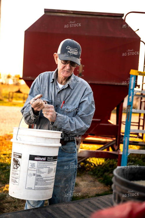 Farmer Feeding Cattle 115483