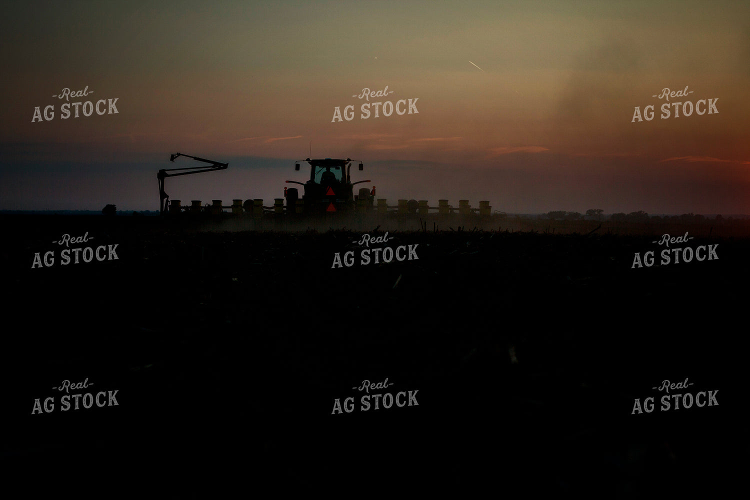 Planting 1953
