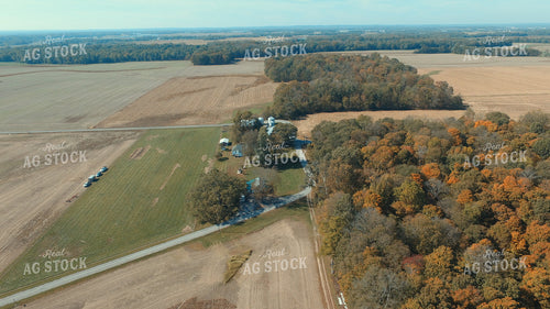 Aerial View of Farmland 85029