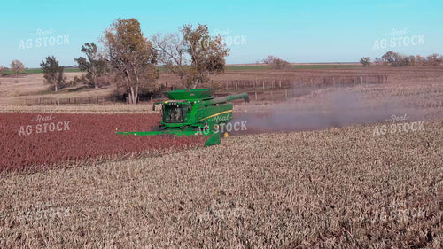 Milo Harvest 239437