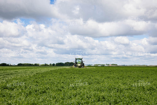 Mowing Hay 152430