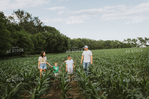 Farm Family Checking Corn 8733