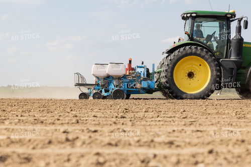 Planting 79637