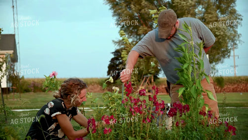 Farm Family in the Garden - 400
