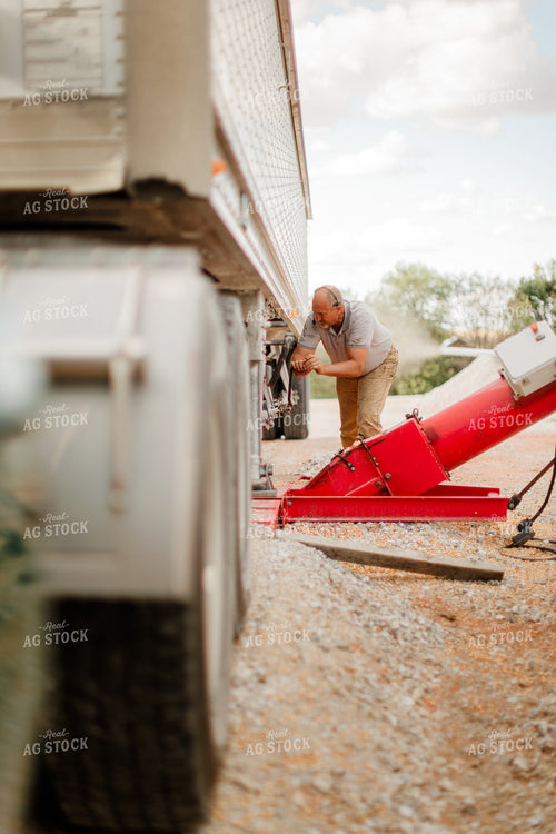 Farmer Unloading Corn 9357