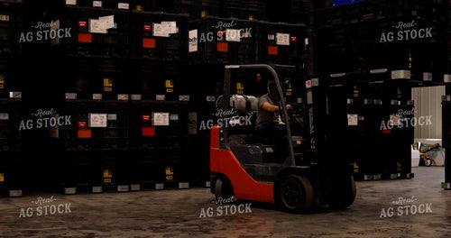 Moving Seed Bulk Boxes with Forklift 6034
