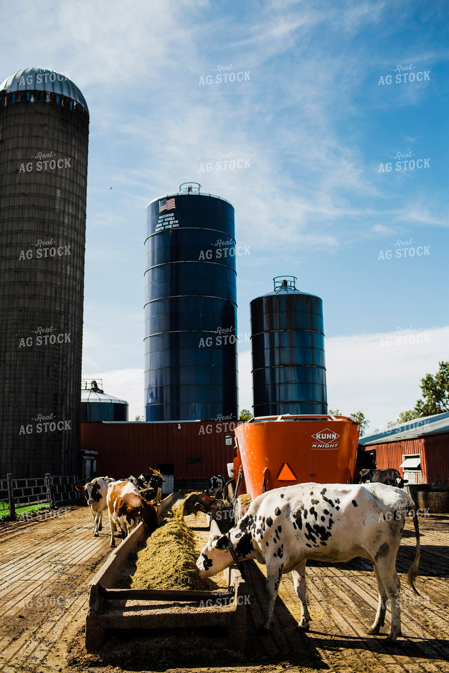 Dairy 2674