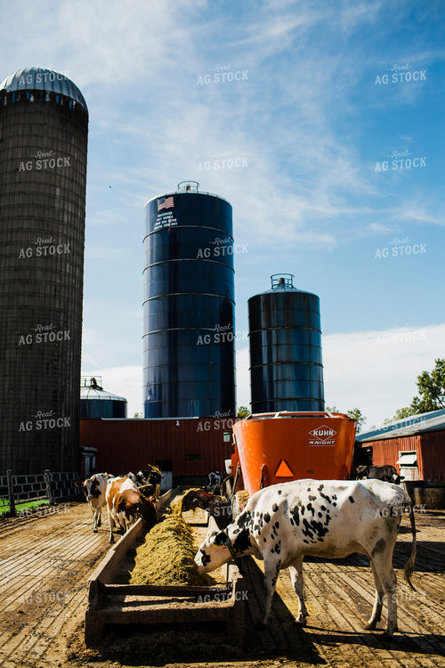 Dairy 2674
