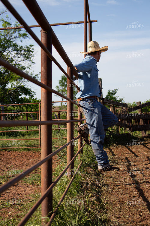 Rancher Leaning on Fence 205033