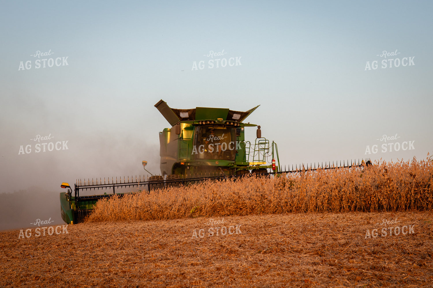 Soybean Harvest 268089